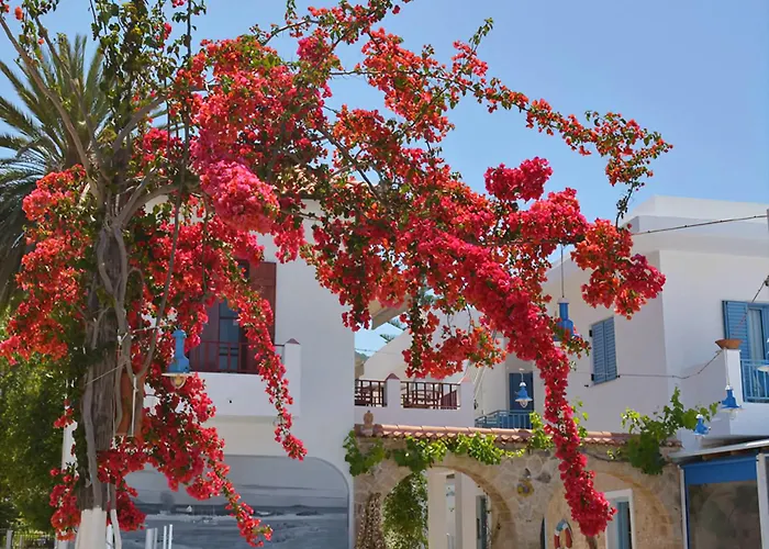 Saronis Hotel Agistri - Adults Only